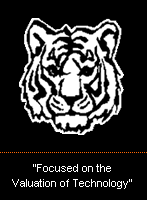 Focused on the Valuation of Technology